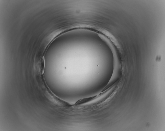 X0000094431177200711081219
