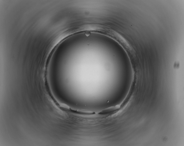 X0000094431178200711081219