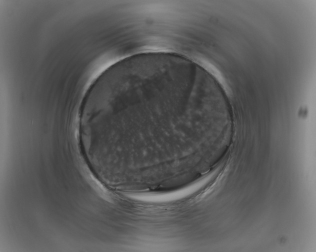 X0000094431179200711081219