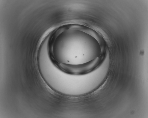 X0000094431180200711081219