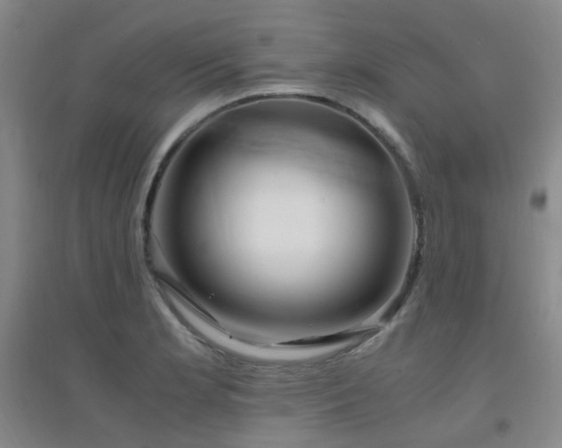 X0000094431181200711081219