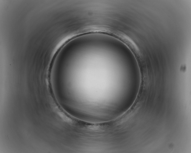 X0000094431182200711081219