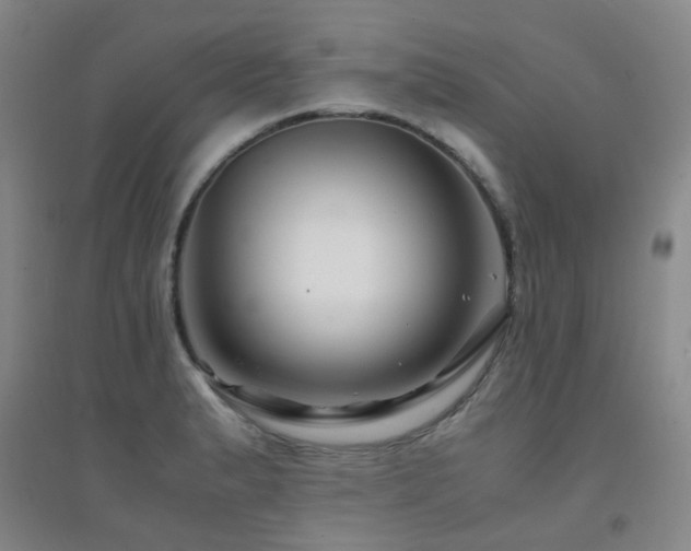 X0000094431183200711081219