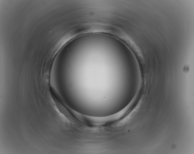 X0000094431185200711081219