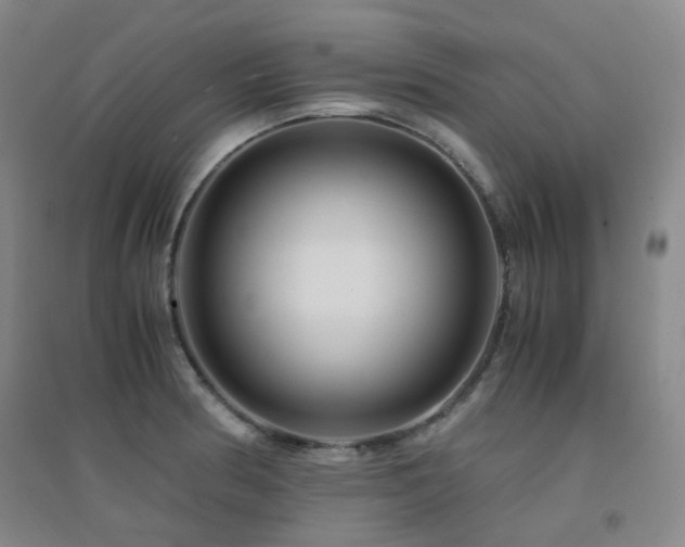 X0000094431186200711081219