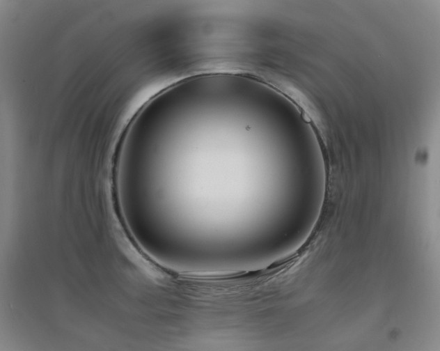 X0000094431187200711081219