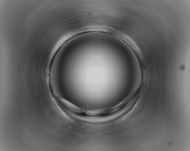 X0000094431188200711081219