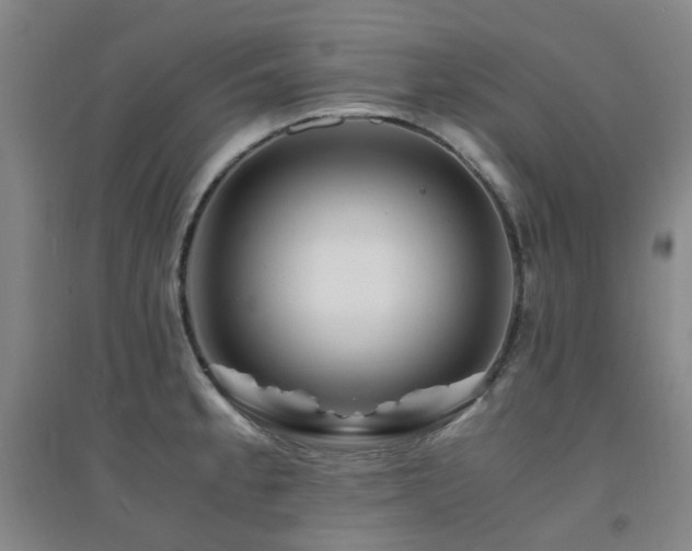 X0000094431189200711081219