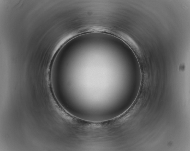 X0000094431190200711081219
