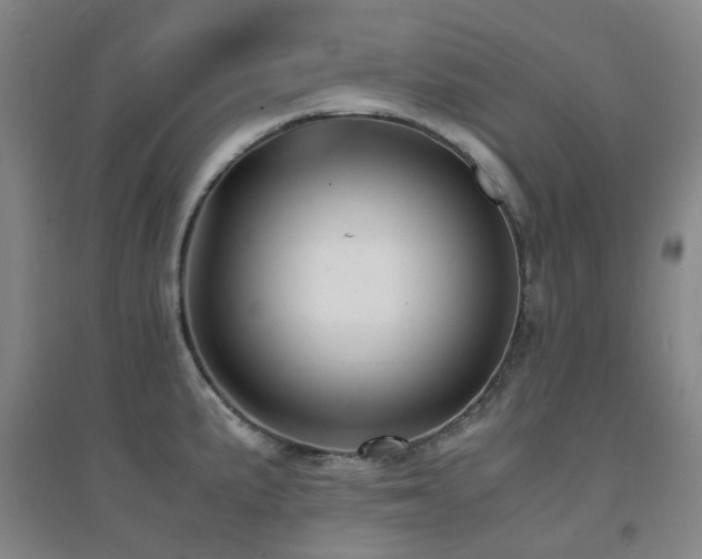 X0000094431191200711081219