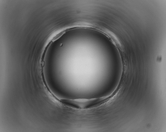 X0000094431192200711081219