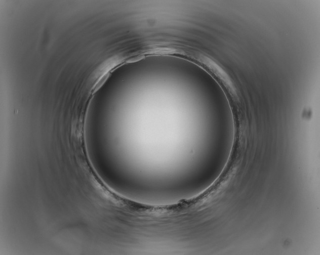 X0000094431193200711081219