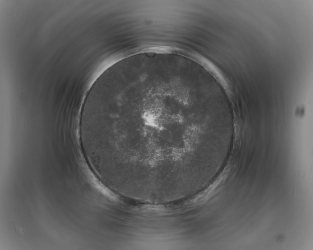 X0000094431194200711081219