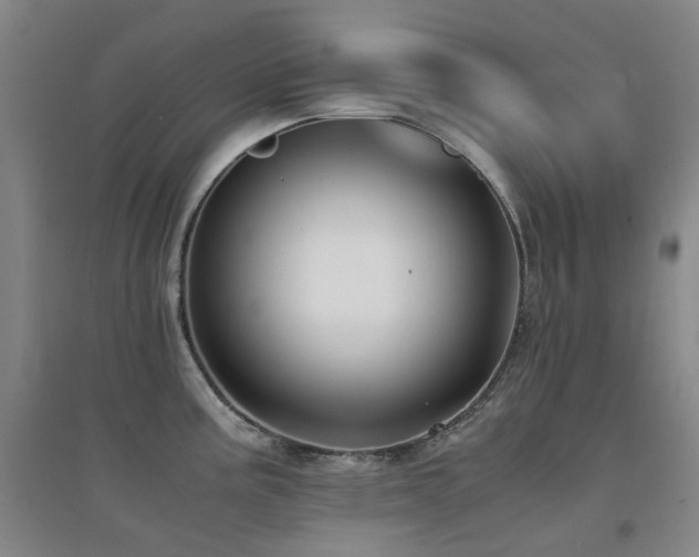 X0000094431195200711081219