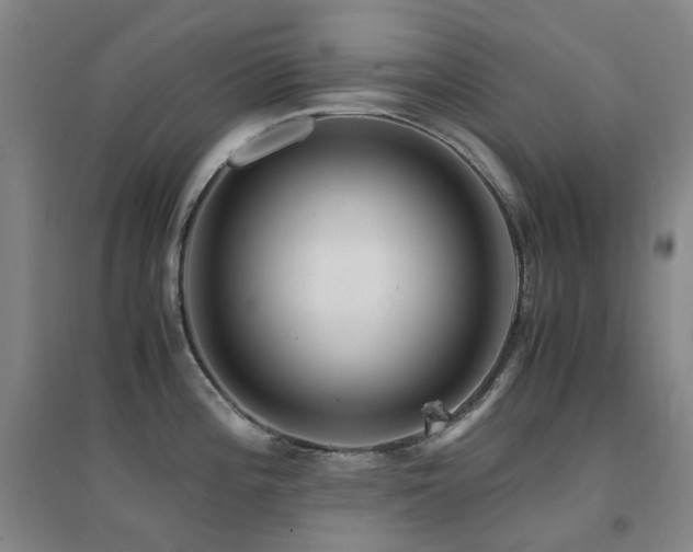X0000094431196200711081219
