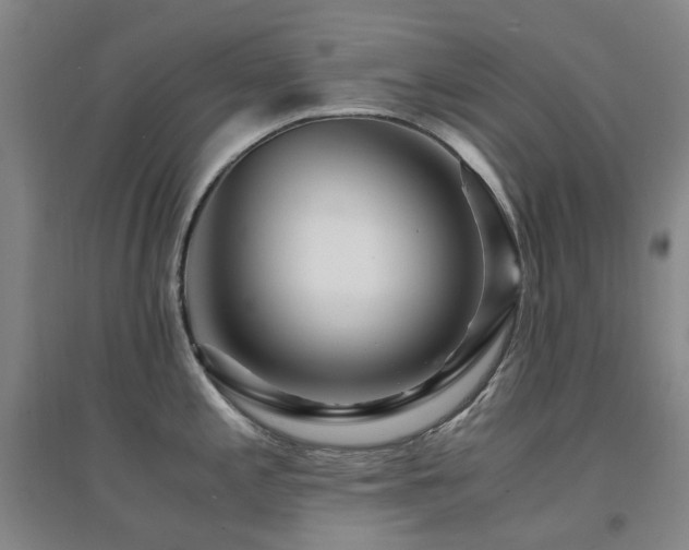 X0000094431197200711081219