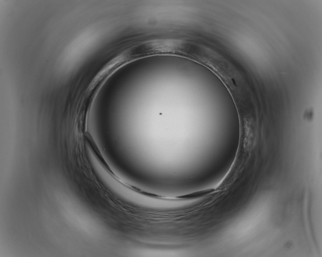 X0000094431198200711081219