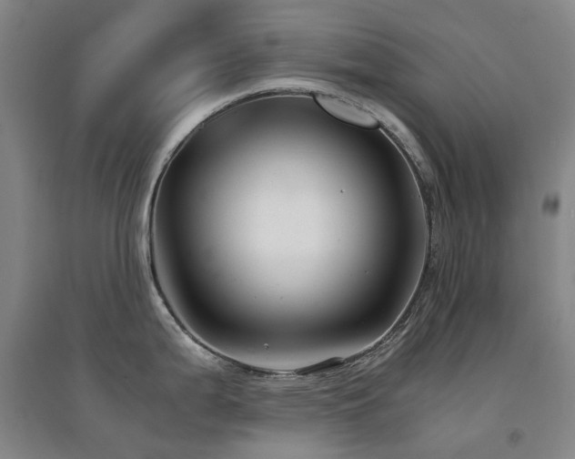 X0000094431199200711081219