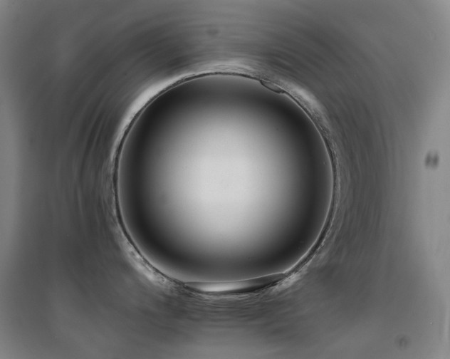 X0000094431200200711081219