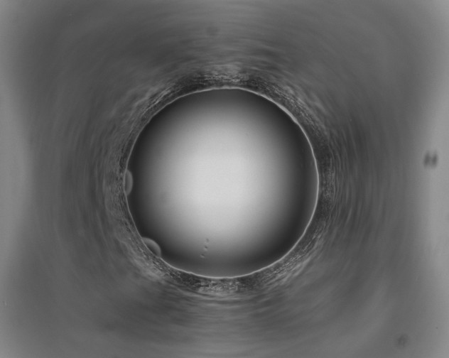 X0000094431201200711081218