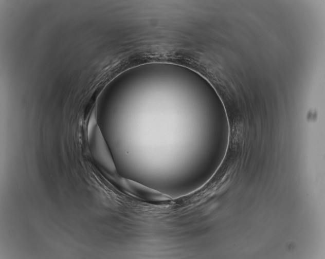X0000094431202200711081218