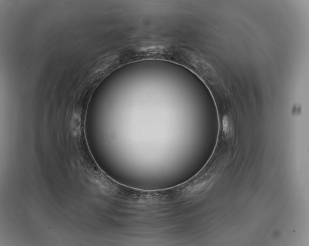 X0000094431203200711081218