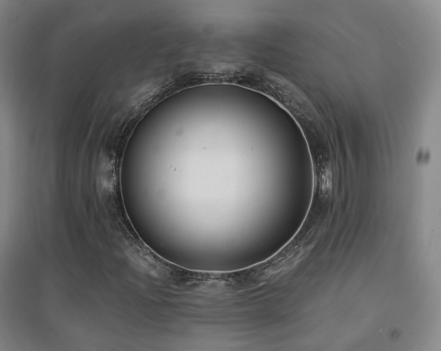 X0000094431204200711081218