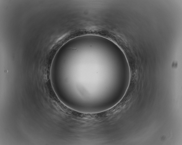 X0000094431205200711081218