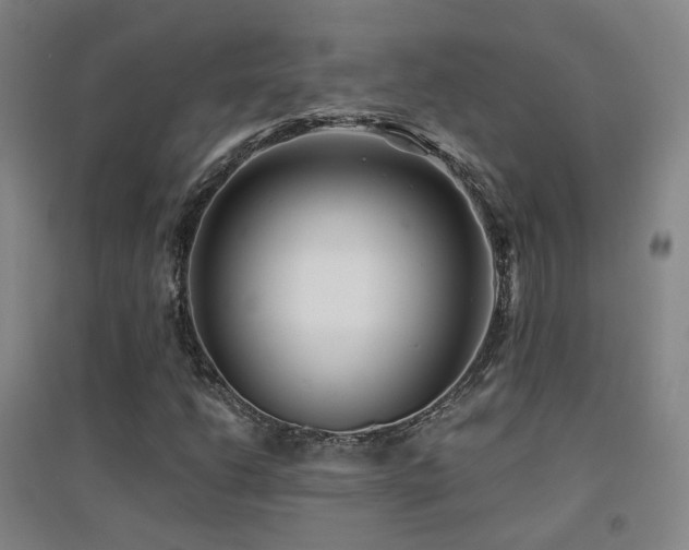 X0000094431206200711081218