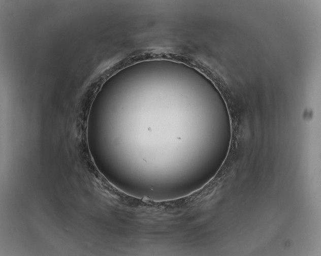 X0000094431207200711081218