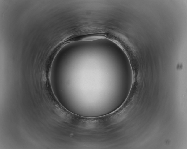 X0000094431209200711081218