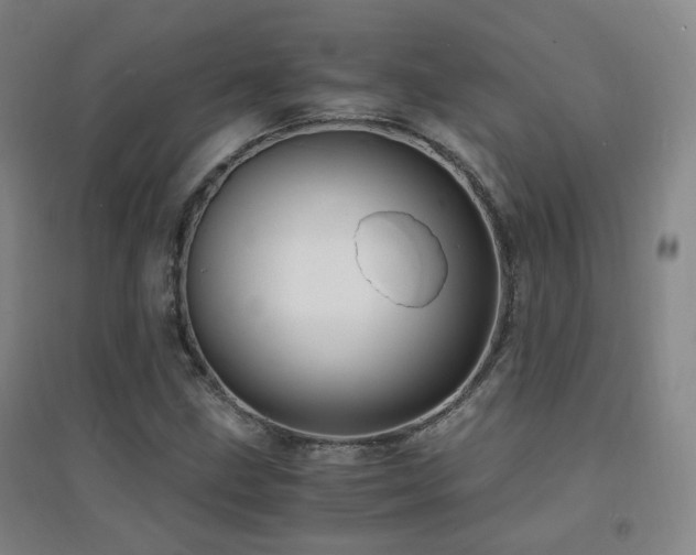 X0000094431211200711081218