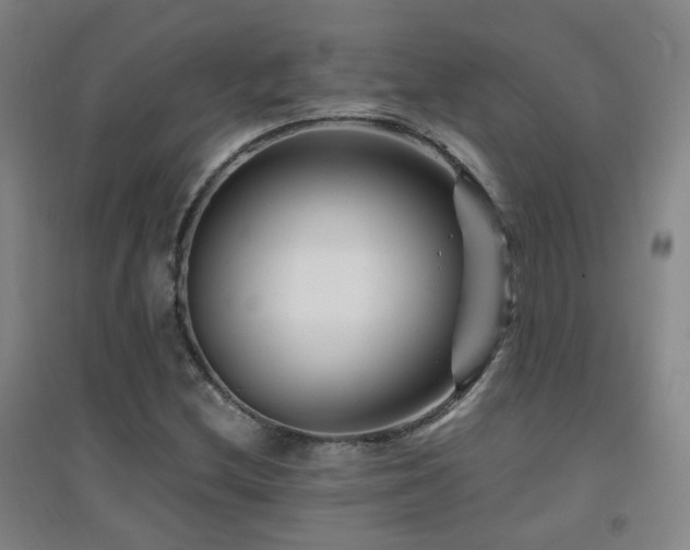 X0000094431212200711081218
