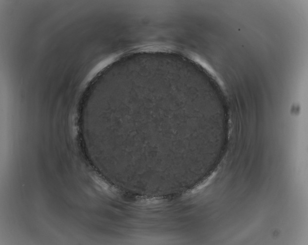 X0000094431213200711081218