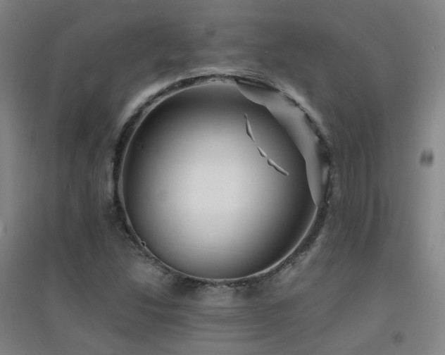 X0000094431214200711081218