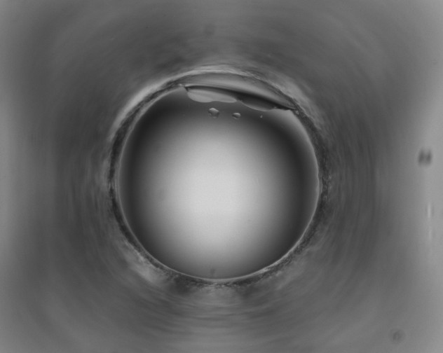X0000094431216200711081218