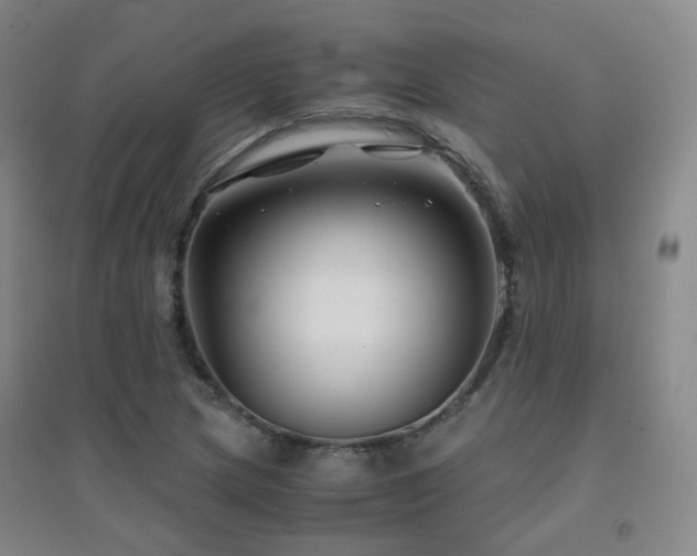 X0000094431217200711081218