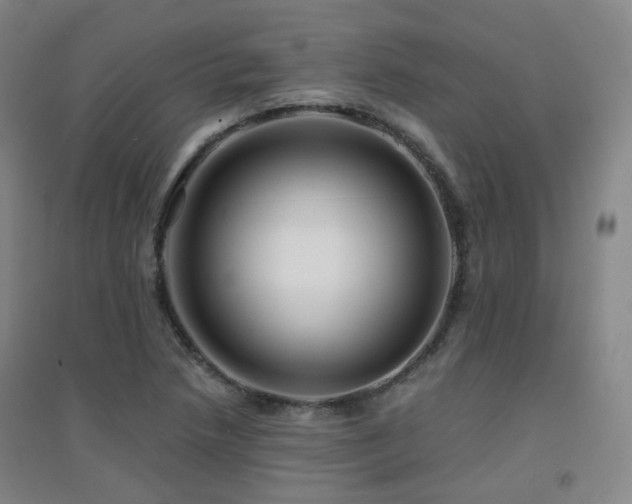 X0000094431218200711081218