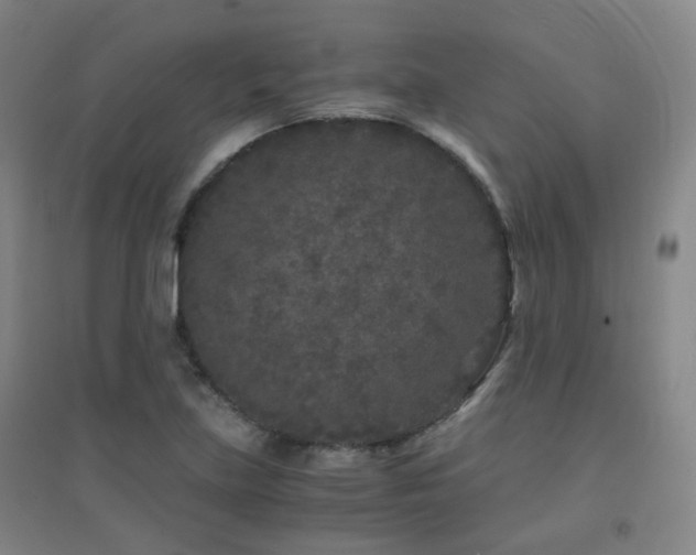 X0000094431219200711081218