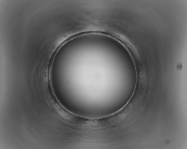 X0000094431220200711081218