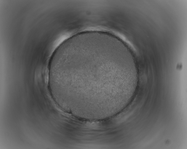 X0000094431221200711081218