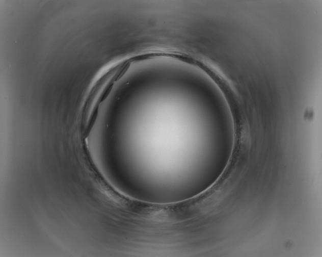 X0000094431222200711081218