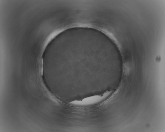 X0000094431223200711081218