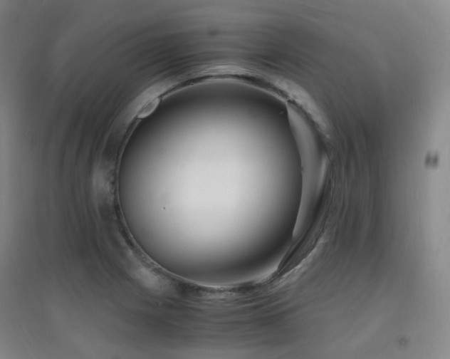 X0000094431225200711081218