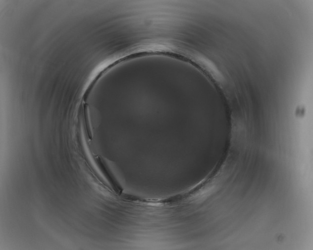 X0000094431226200711081218