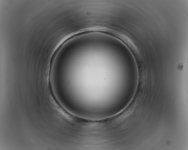 X0000094431228200711081218