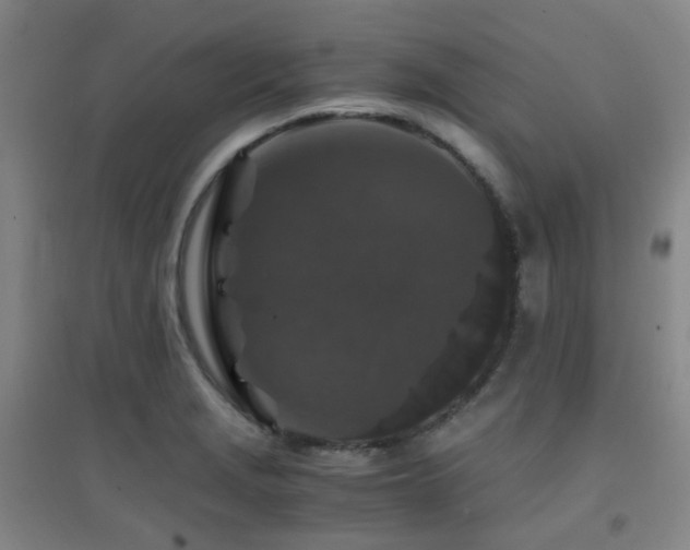 X0000094431229200711081218