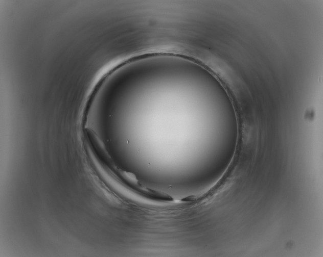 X0000094431230200711081218