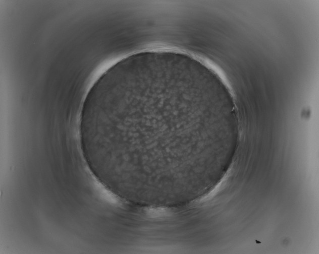 X0000094431231200711081218