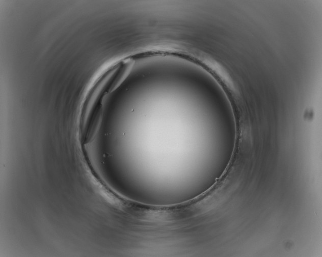 X0000094431232200711081218